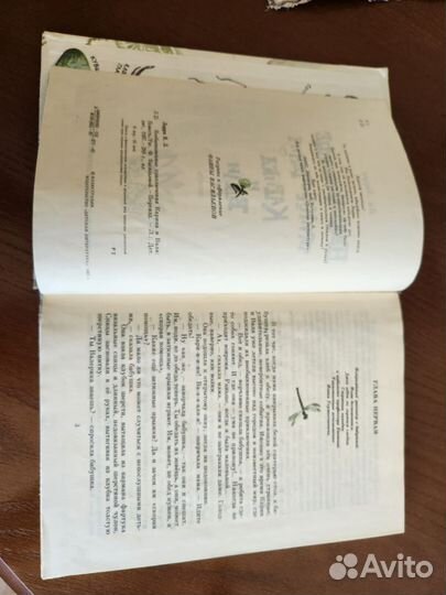 Книга Необыкновенные приключения Карика и Вали