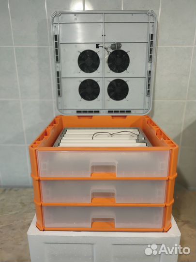 Инкубатор для яиц автоматический 256 яиц