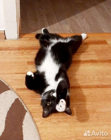 Малышка Фрея ищет семью