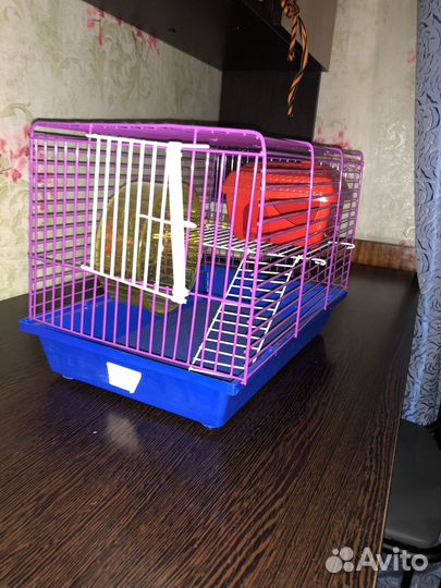Клетка для хомяка бу