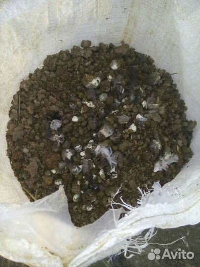 Куряк с опилками