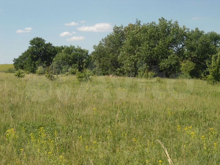 Участок 10 га (СНТ, ДНП)