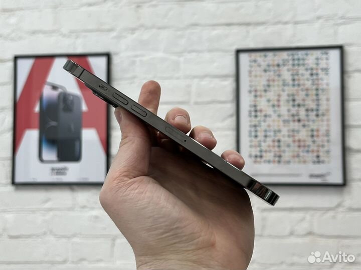 iPhone 12 Pro Max, 256 ГБ