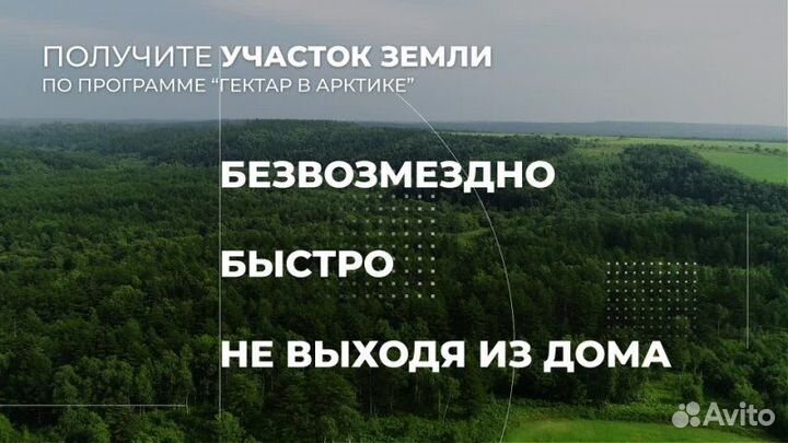 Арктический гектар/ консультации