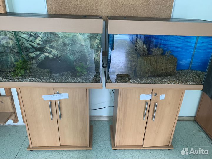 Обслуживание аквариумов