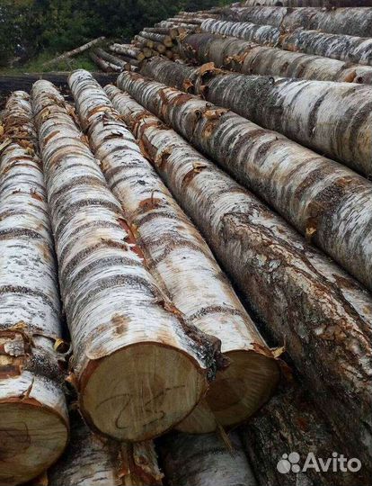 Лес кругляк