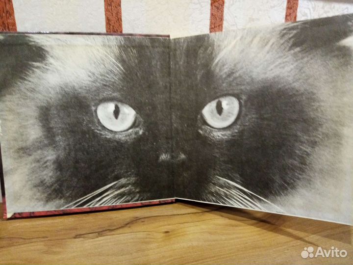 Книги о животных