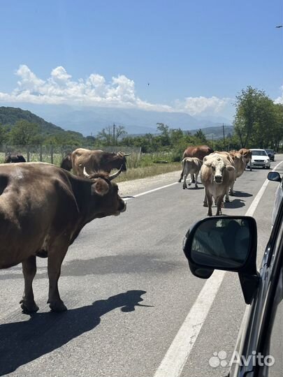 Тур к Эльбрусу на 4 дня