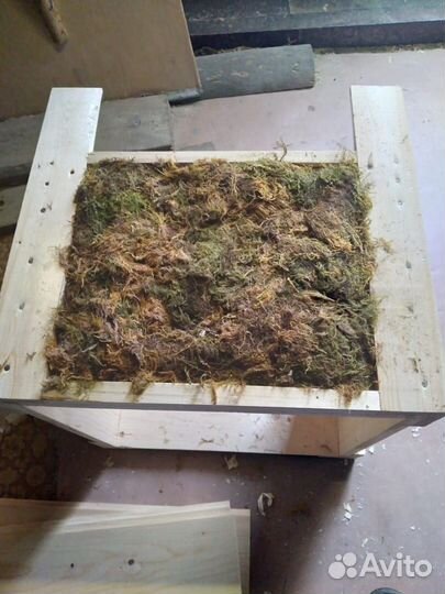 Улей для пчел