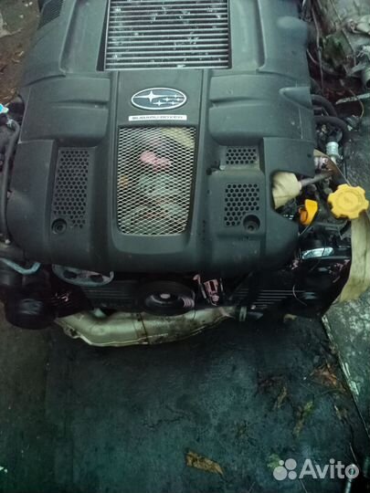 Swap Subaru legacy Ej20x vf38 92 ткм