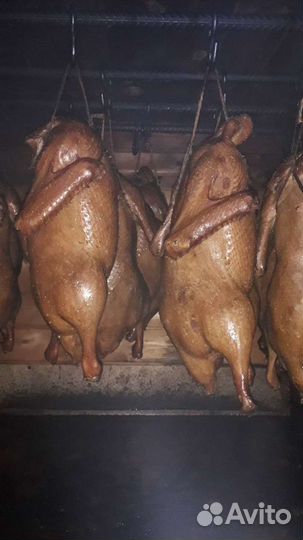 Коптильноя