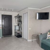 Квартира-студия, 24 м², 2 кровати, Кобрин
