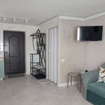 Квартира-студия, 24 м², 2 кровати, Кобрин