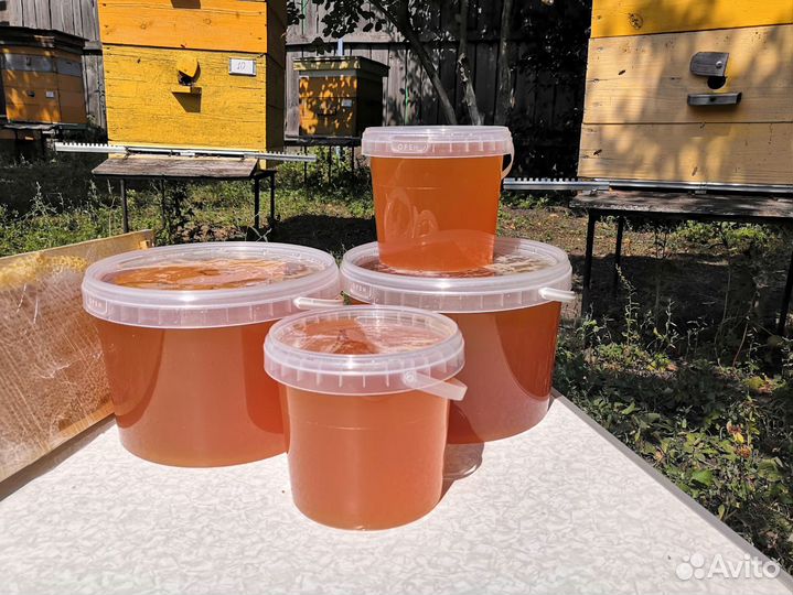 Мед цветочный (свежий)