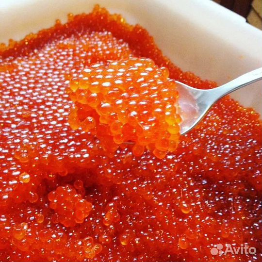 Красная икра