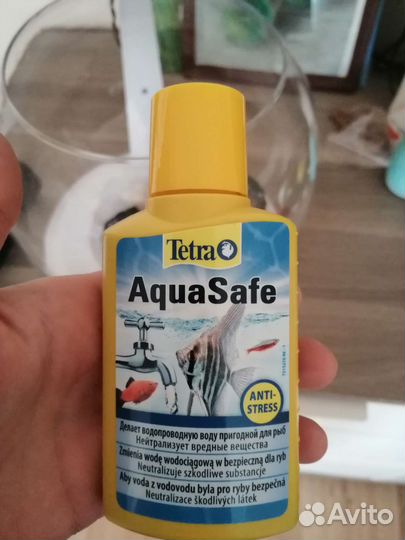 Аквариум Cascade Tetra