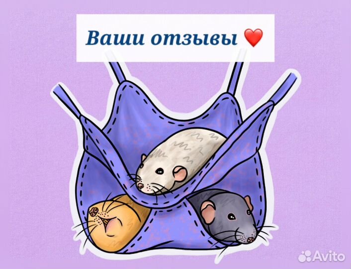 Гамаки и домики для крыс, грызунов