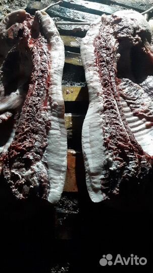 Сало свинина жирные поросята