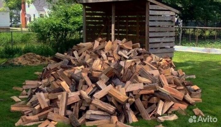 Дрова без гнили