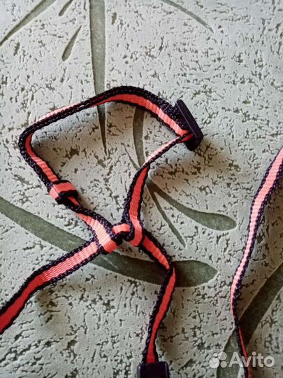 Поводок и шлейка для кошки