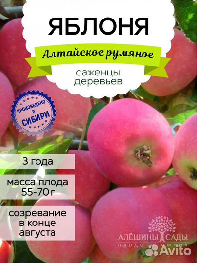 Саженцы Яблони