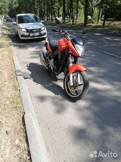 Stels flex 250