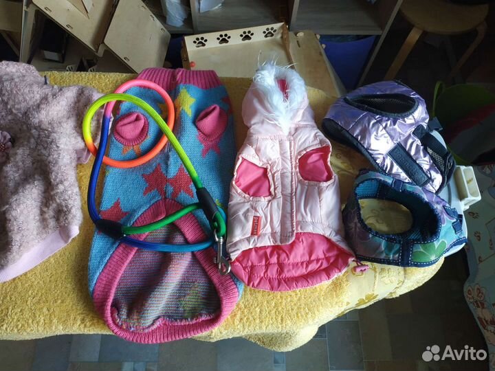 Одежда для маленькой собачки, шлейки, поводок
