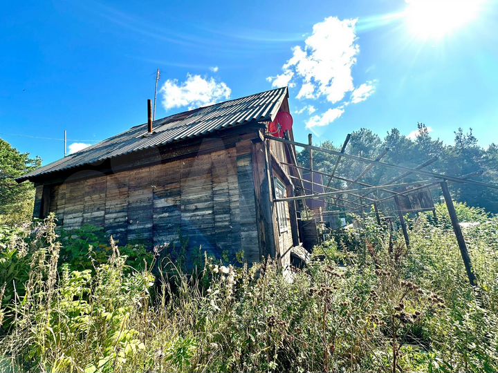 Дом 25 м² на участке 12 сот.