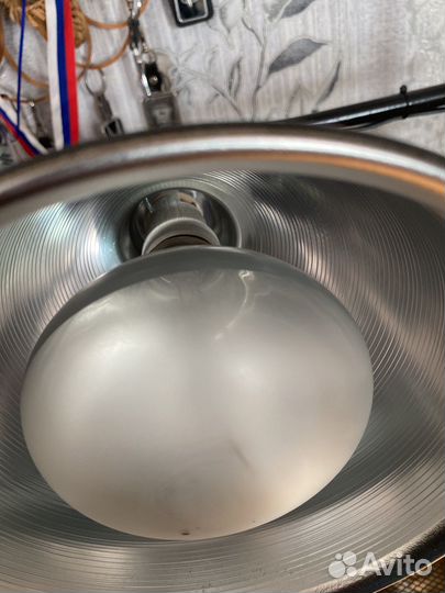 Террариум для рептилий