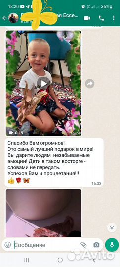 Живые бабочки с цветами