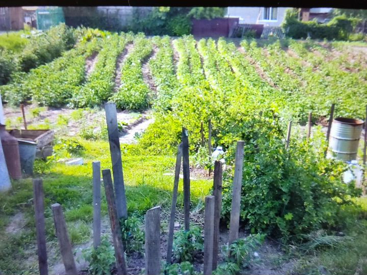 Дом 72 м² на участке 16 сот.