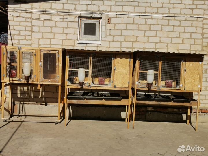 Крольчатник