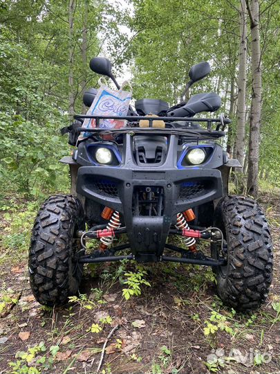 Квадроцикл Grizzly ATV 250