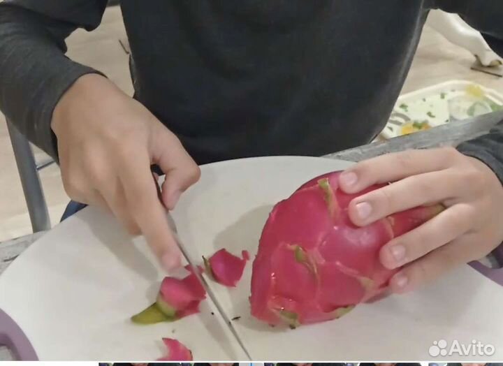 Рассада питахайи