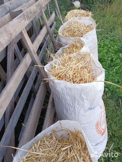 Солома, сено