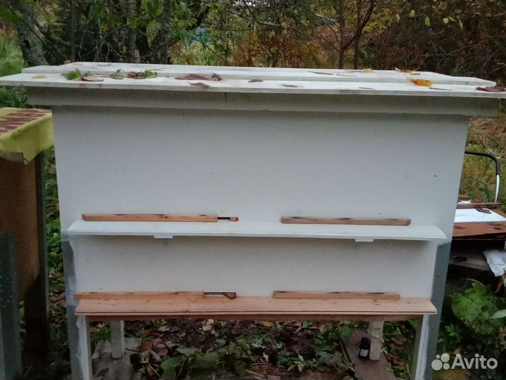 Пчелосемья