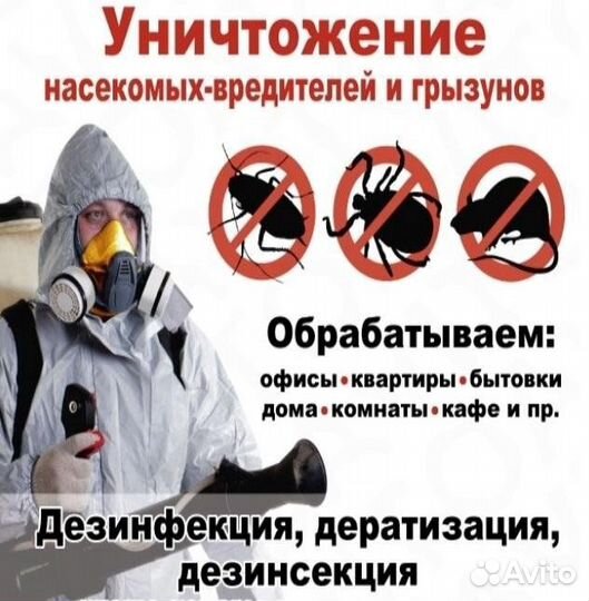 Дезинсекция - клопы, тараканы, клещи, грызуны