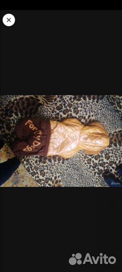 Костюм для собаки