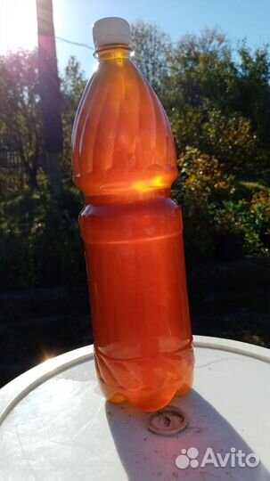 Мёд алтайский