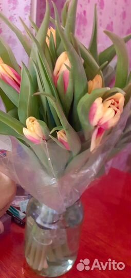 Продам два букета с живыми тюльпанами по 11 штук