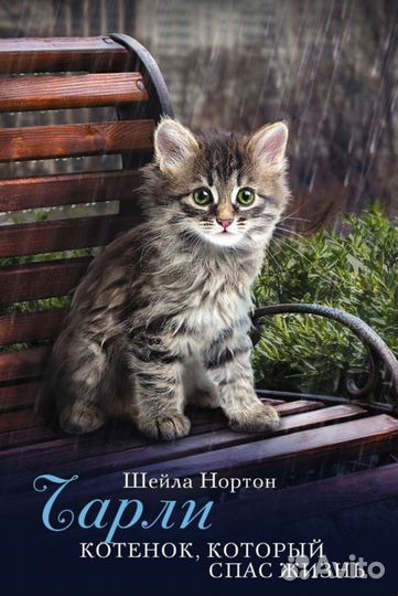Книга Котенок который спас жизнь Серия о коте Бобе