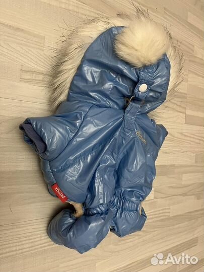 Комбинезон для собак мелких пород