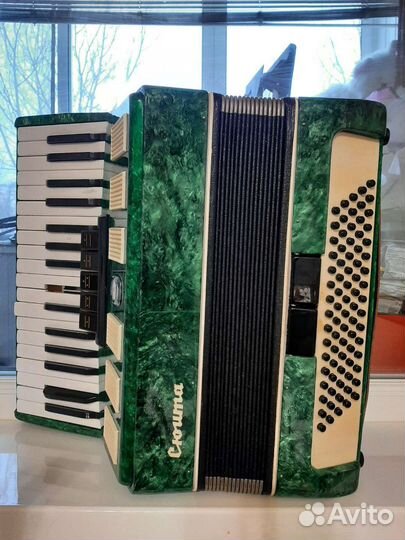 Аккордеон Сюита