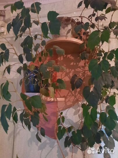 Полка навесная