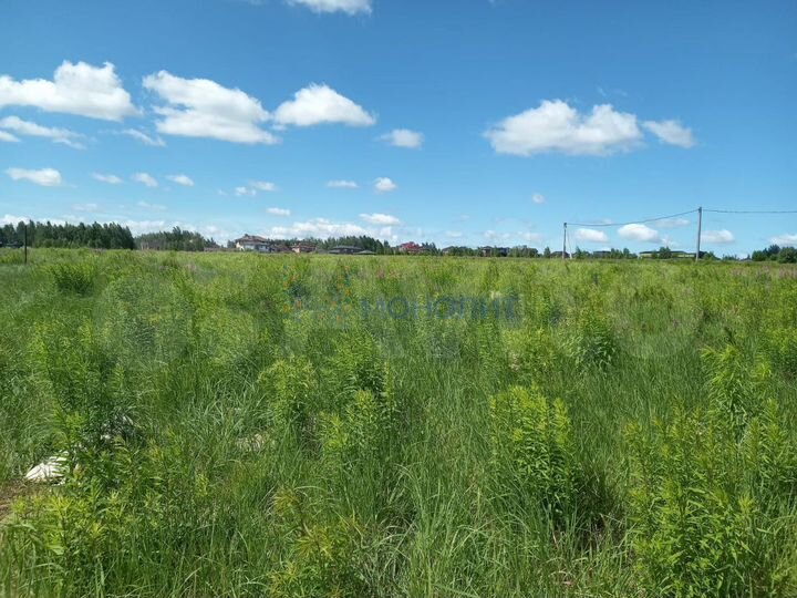 Участок 14,9 сот. (СНТ, ДНП)