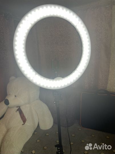 Кольцевая лампа