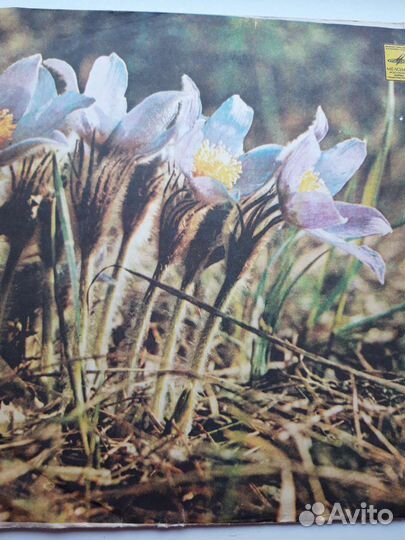 Грампластинки СССР