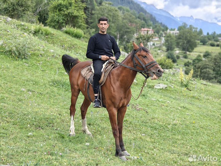 Мобильная фотография