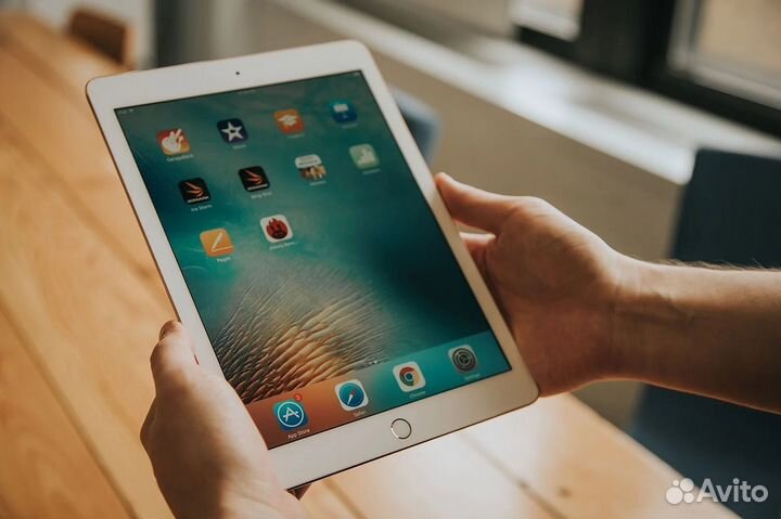 Большой выбор iPad