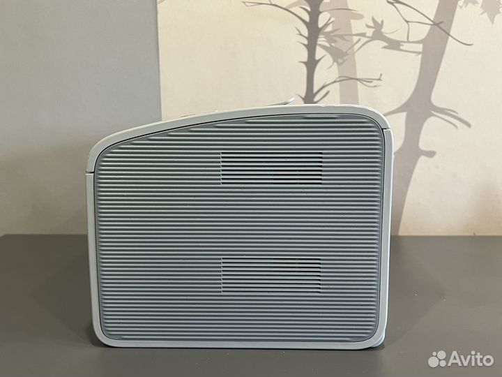 Принтер лазерный Samsung ML-2160